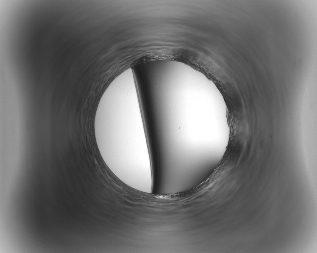 X0000098190141200804241059