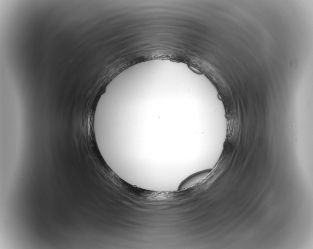 X0000098190142200804241059