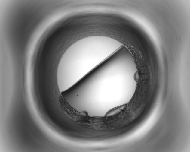 X0000098190143200804241059