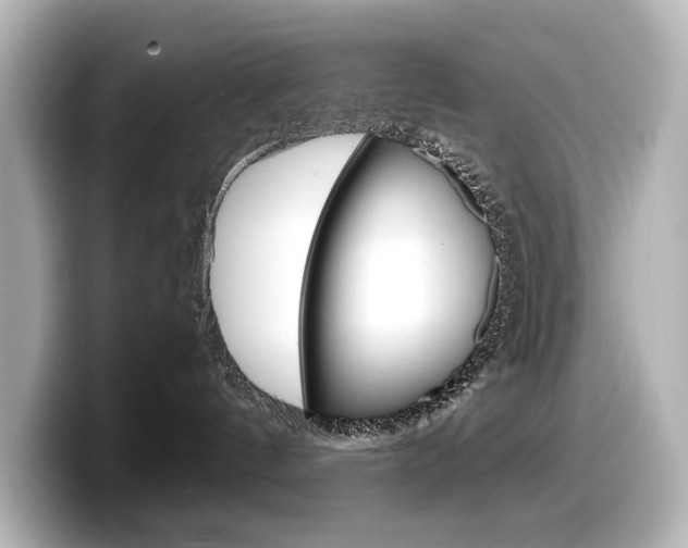 X0000098190144200804241059