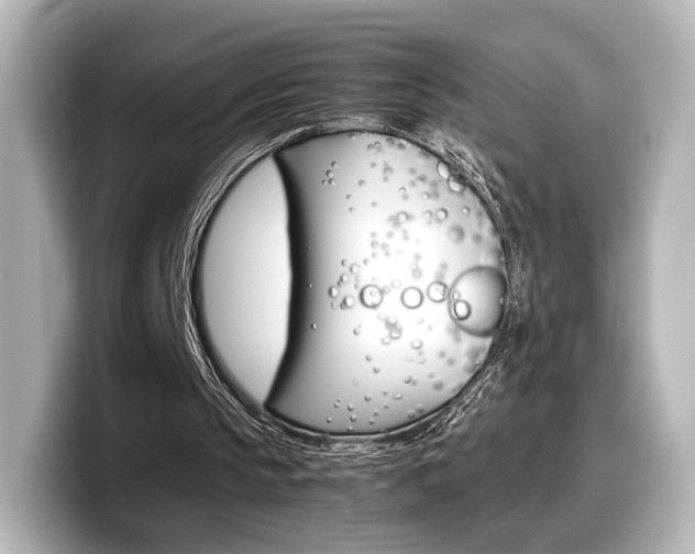 X0000098190145200804241058