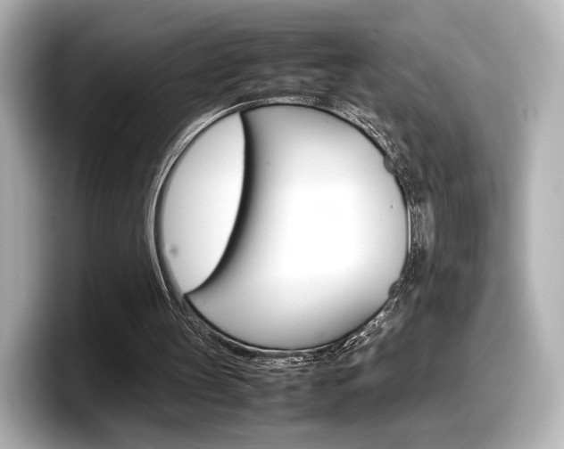 X0000098190147200804241058