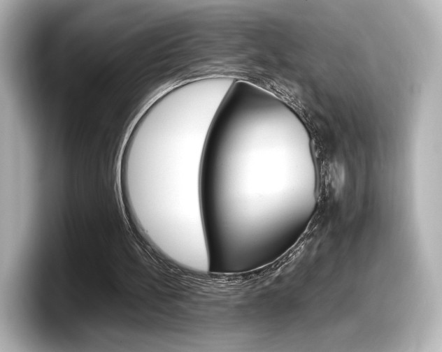 X0000098190148200804241058