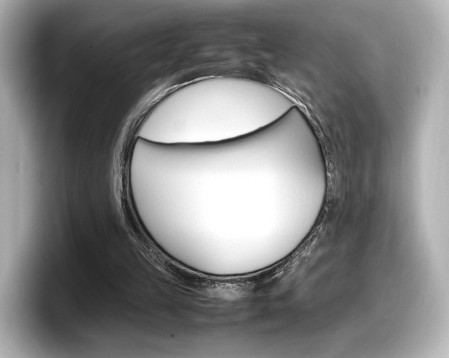 X0000098190149200804241058