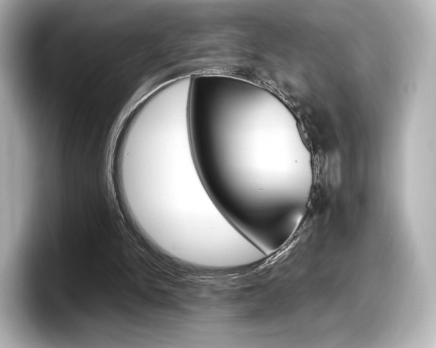X0000098190150200804241058