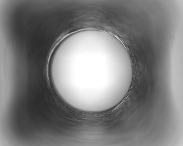 X0000098190152200804241058