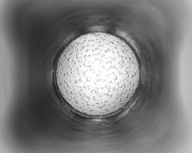 X0000098190153200804241058