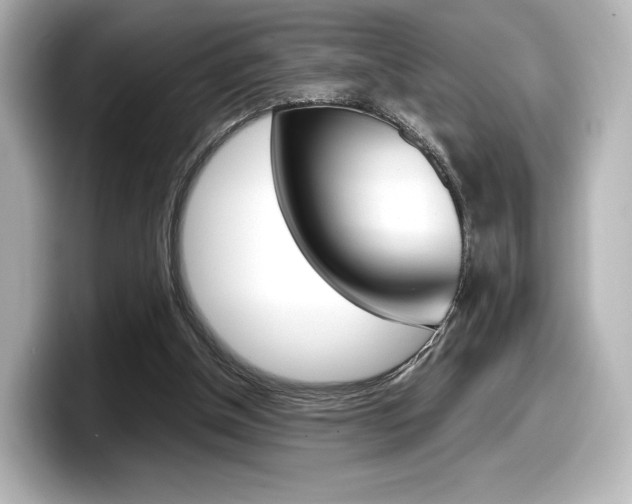 X0000098190154200804241058