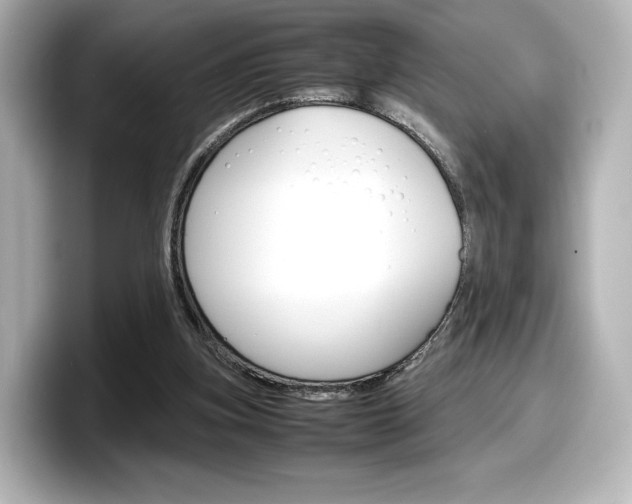 X0000098190155200804241058
