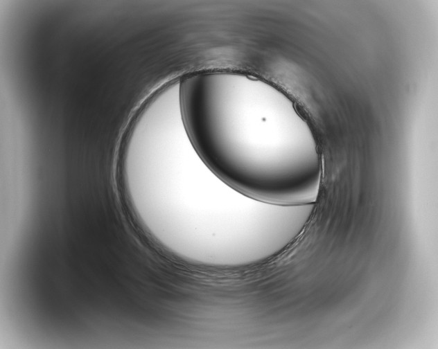 X0000098190156200804241058