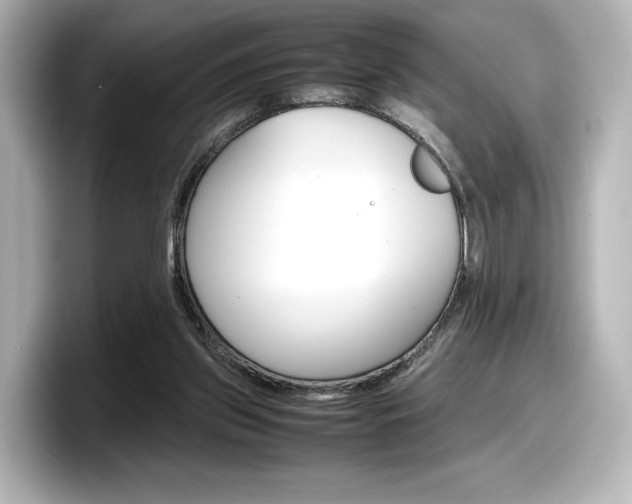 X0000098190157200804241058