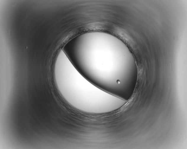 X0000098190158200804241058