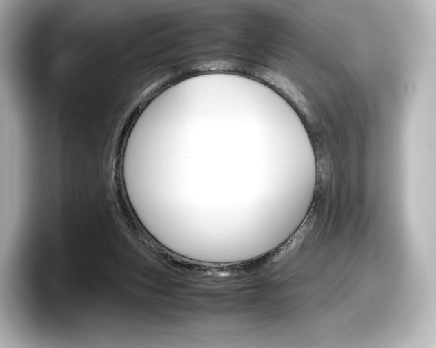 X0000098190159200804241058