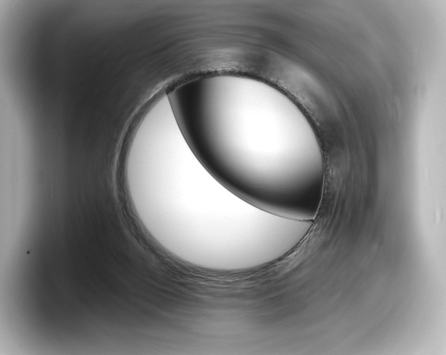 X0000098190160200804241058