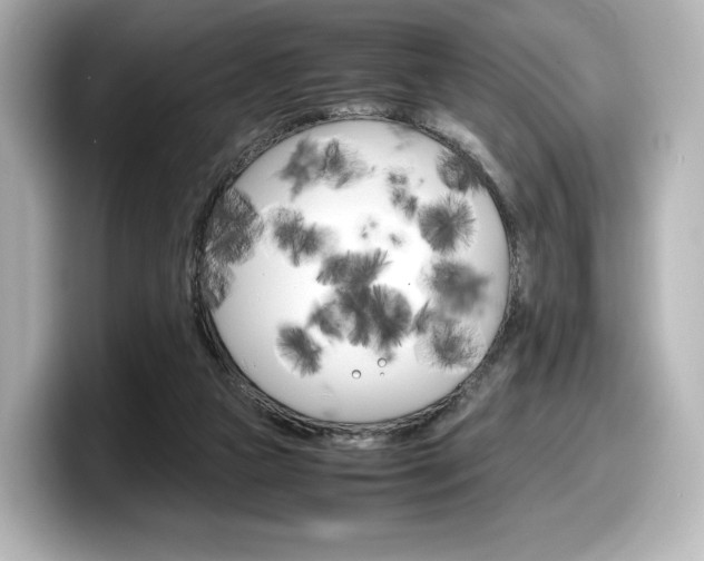 X0000098190161200804241058