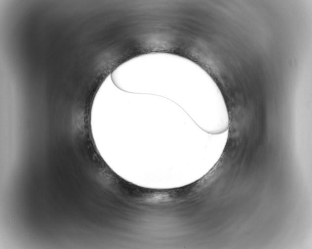 X0000098190162200804241058