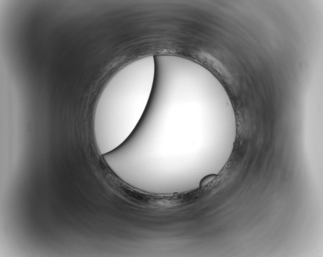 X0000098190163200804241058
