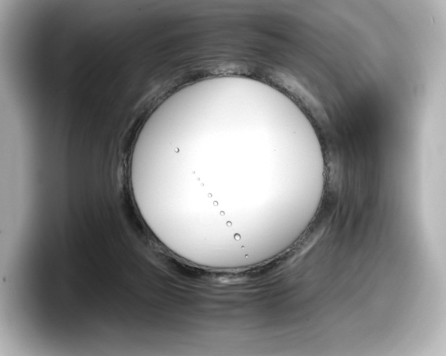 X0000098190165200804241058