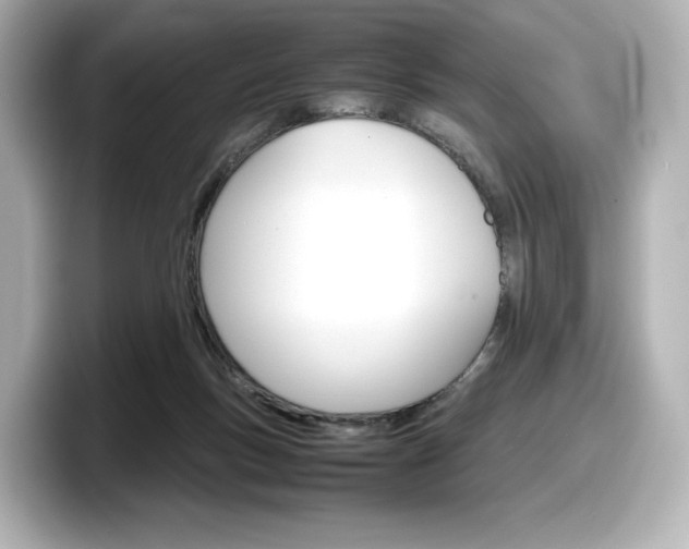 X0000098190167200804241058
