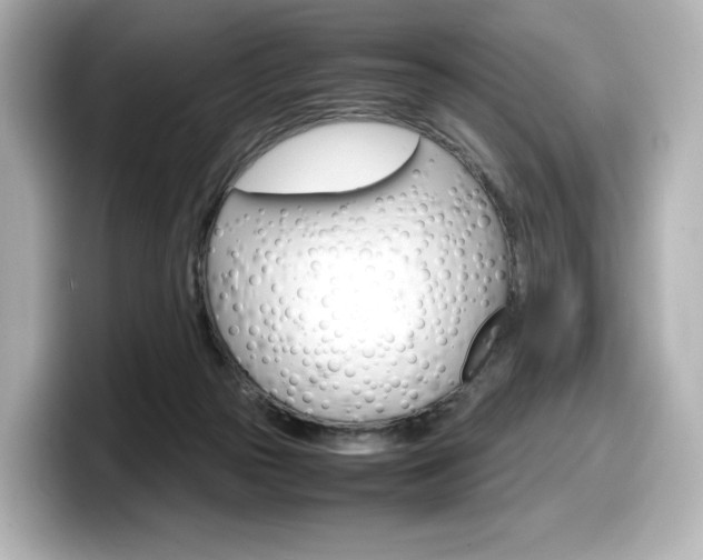X0000098190169200804241058