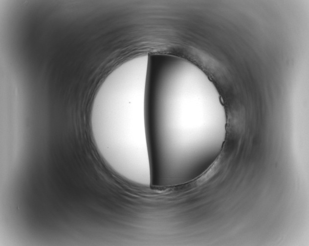 X0000098190170200804241058
