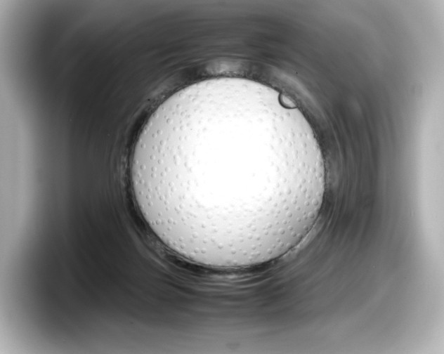 X0000098190171200804241058
