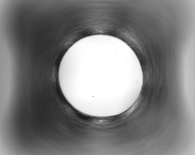 X0000098190174200804241058