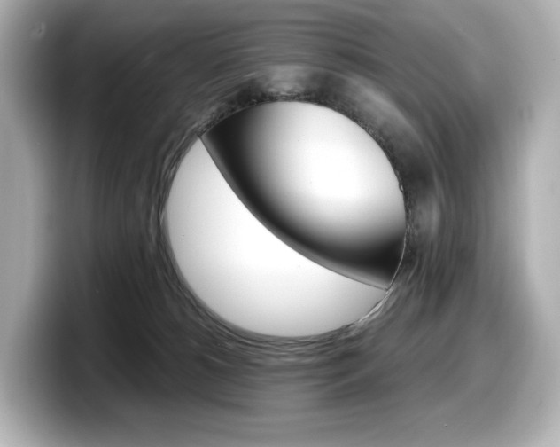 X0000098190180200804241058