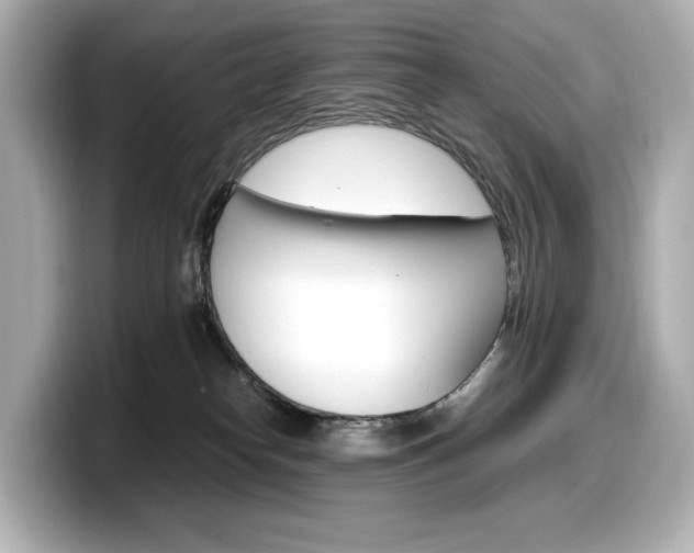 X0000098190182200804241058