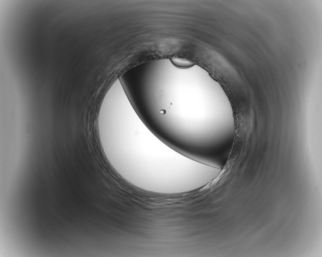 X0000098190184200804241058