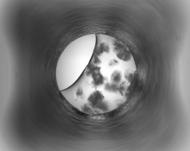 X0000098190185200804241058