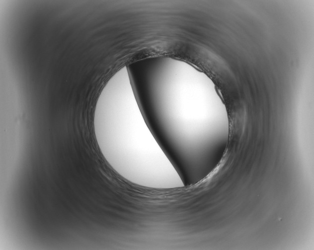 X0000098190186200804241058