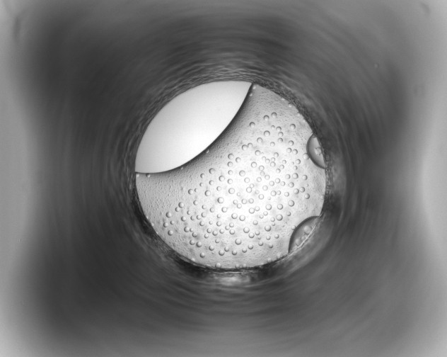 X0000098190187200804241058