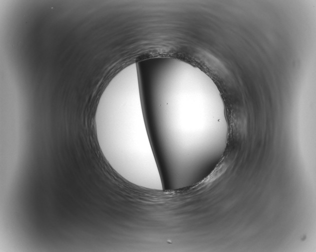X0000098190188200804241058