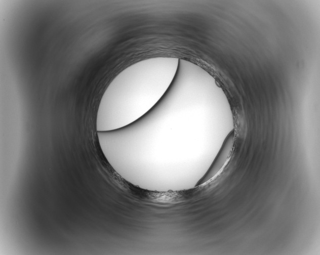 X0000098190191200804241058