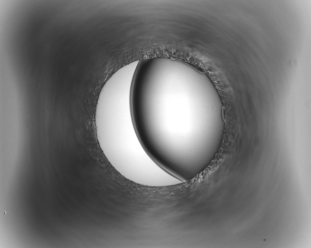 X0000098190192200804241059