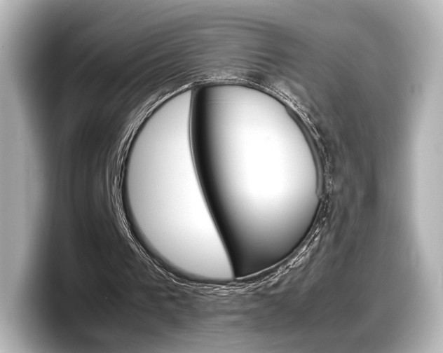X0000098190193200804241058