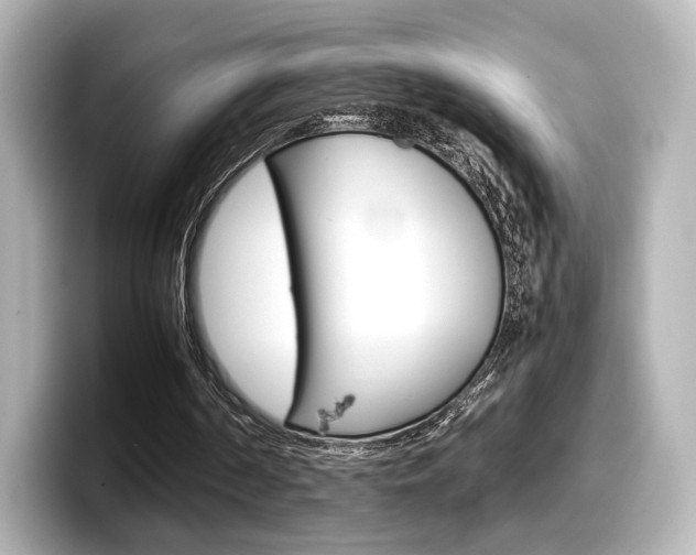 X0000098190194200804241058