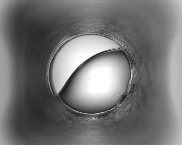 X0000098190195200804241058