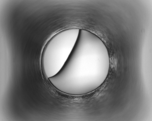 X0000098190196200804241058