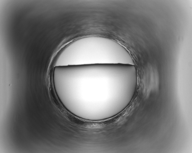 X0000098190198200804241058