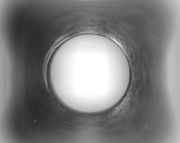 X0000098190199200804241058