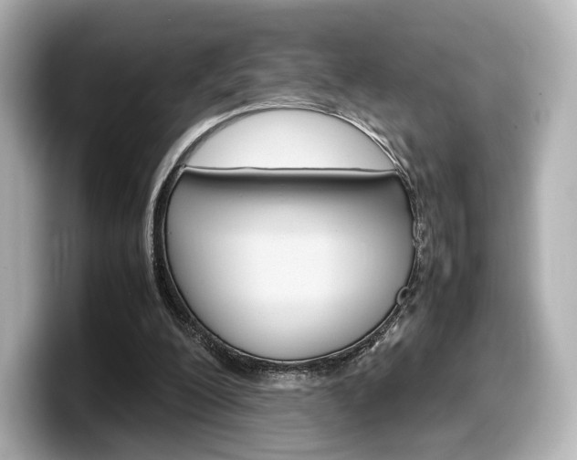 X0000098190200200804241058