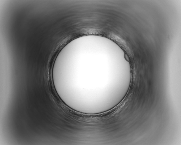 X0000098190202200804241058