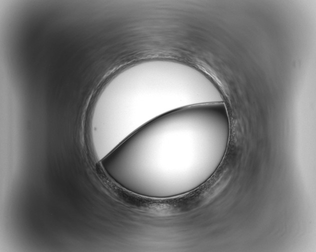 X0000098190203200804241058