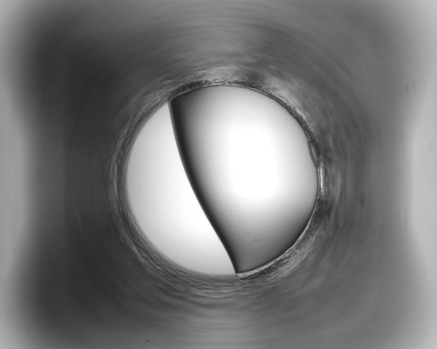 X0000098190205200804241058