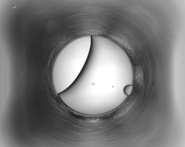X0000098190206200804241058