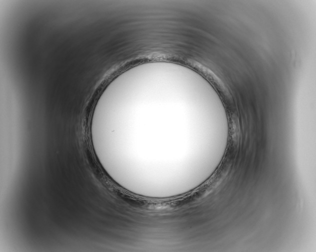 X0000098190208200804241058