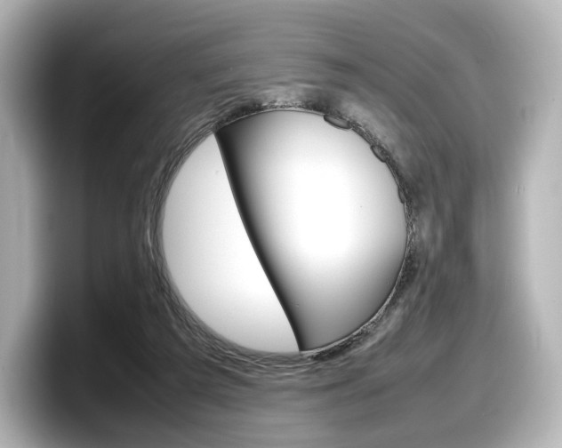 X0000098190209200804241058