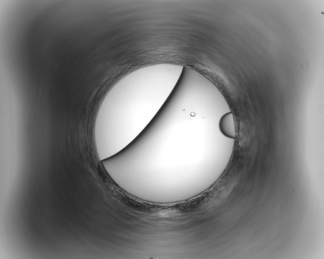X0000098190210200804241058